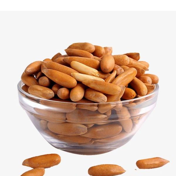 Pine Nuts (Chilgoza) thumbnail 3