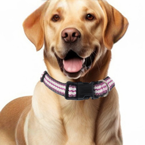 CANINE COLLAR thumbnail 1