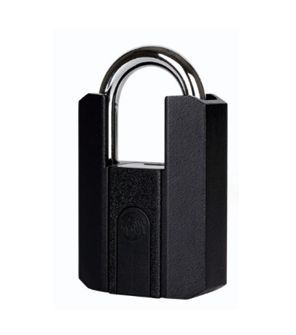 Befach Padlock SY-916 | fingerprint lock | Hardened Steel Shackle with Brass Cylinder | Key Operated Heavy Duty Security Lock for Gates, Shutters & Storage Units | Weatherproof Anti-Rust Pad Lock for Indoor & Outdoor Use thumbnail 1