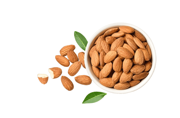 California Normal Almond thumbnail 2