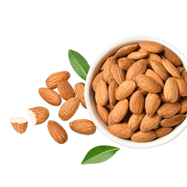 California Normal Almond thumbnail 2