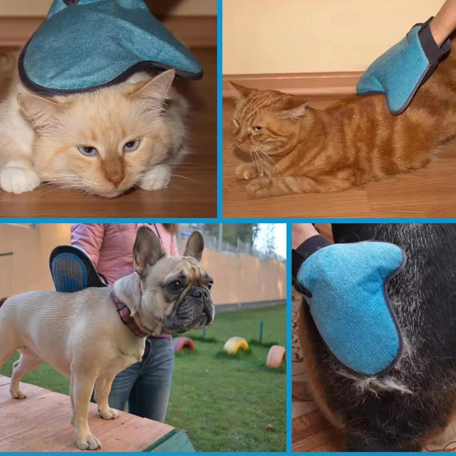 Pet Grooming Glove – Humanized Descending Brush thumbnail 6