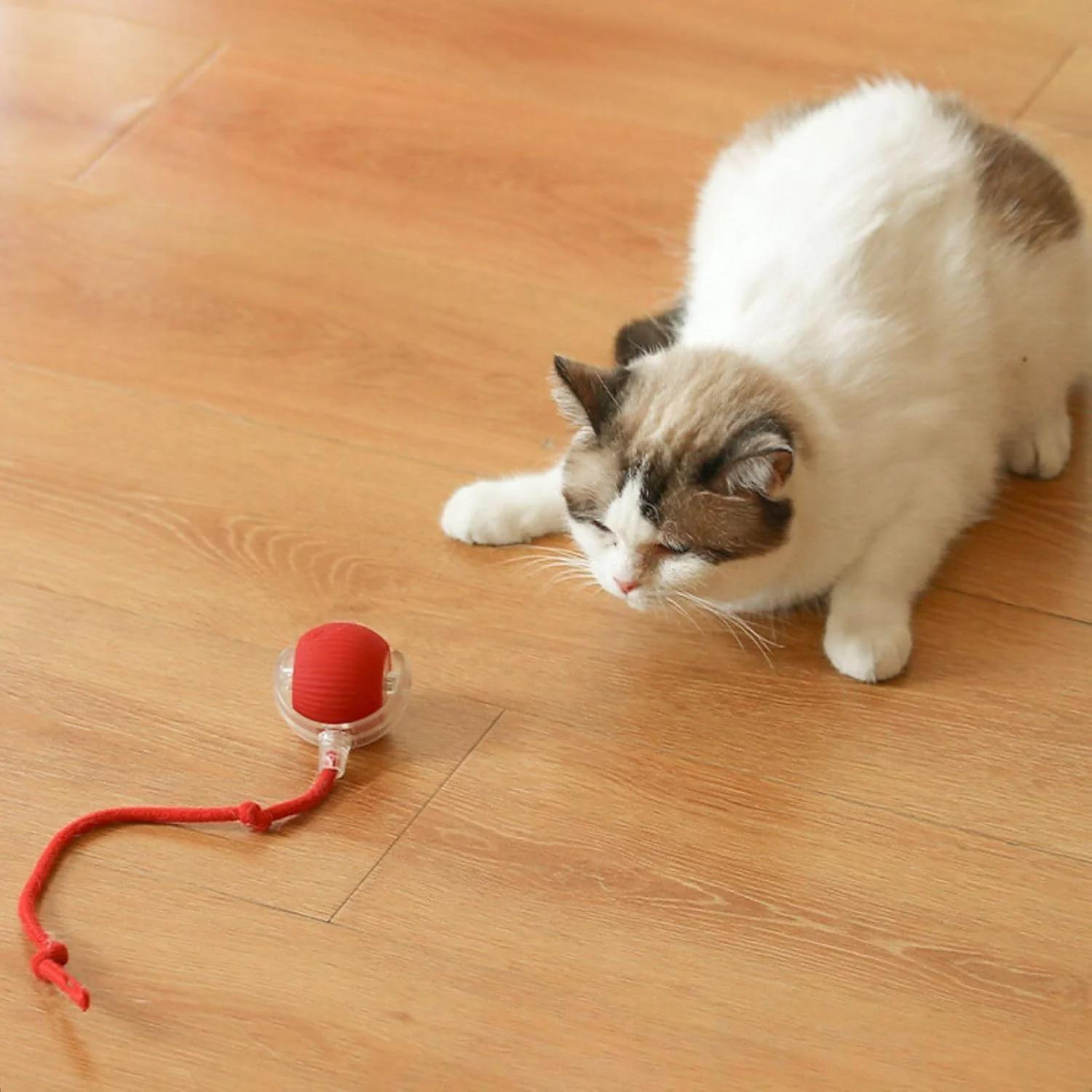 Rechargeable Interactive Cat Toy Ball with Detachable Tail and LED Light thumbnail 7