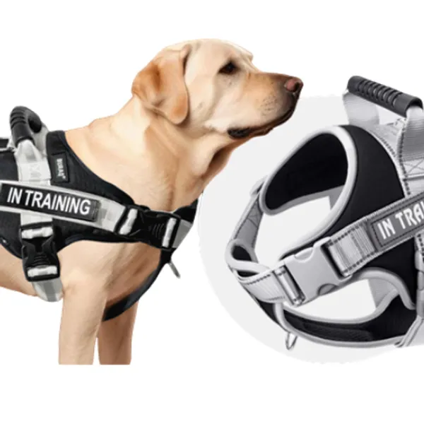DAILY WALK BODY HARNESS