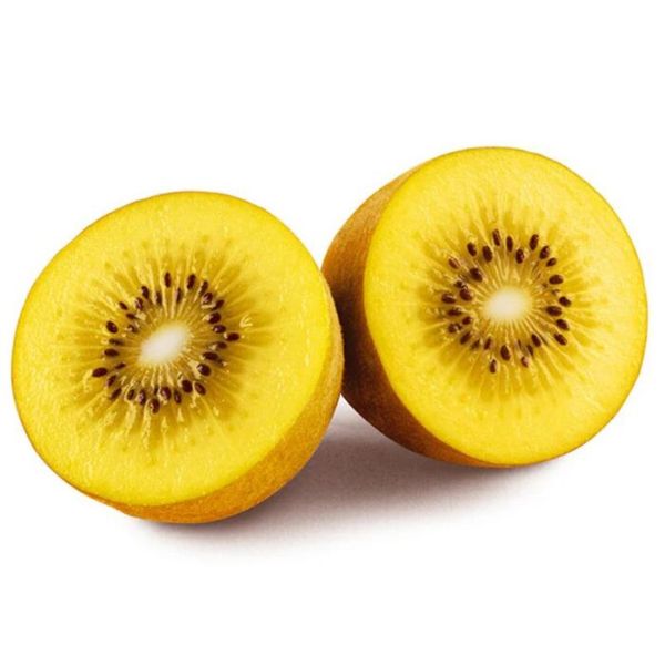 Dry Golden Kiwi thumbnail 2