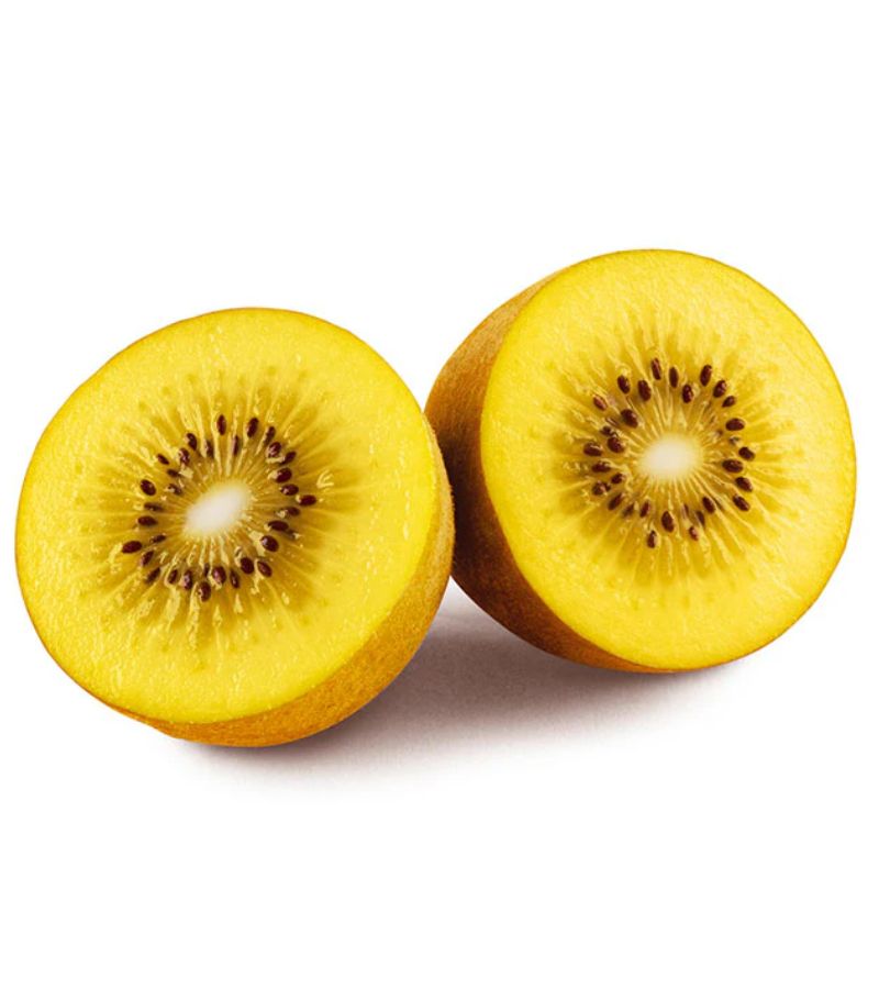 Dry Golden Kiwi thumbnail 4