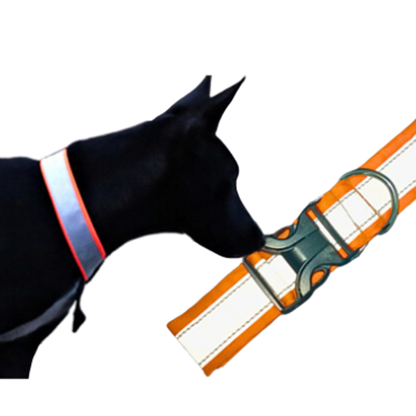 3M REFLECTOR WATER PROOF DOG COLLAR