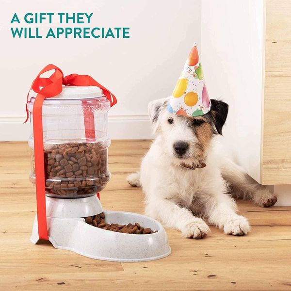 Automatic Pet Food Dispenser  thumbnail 3