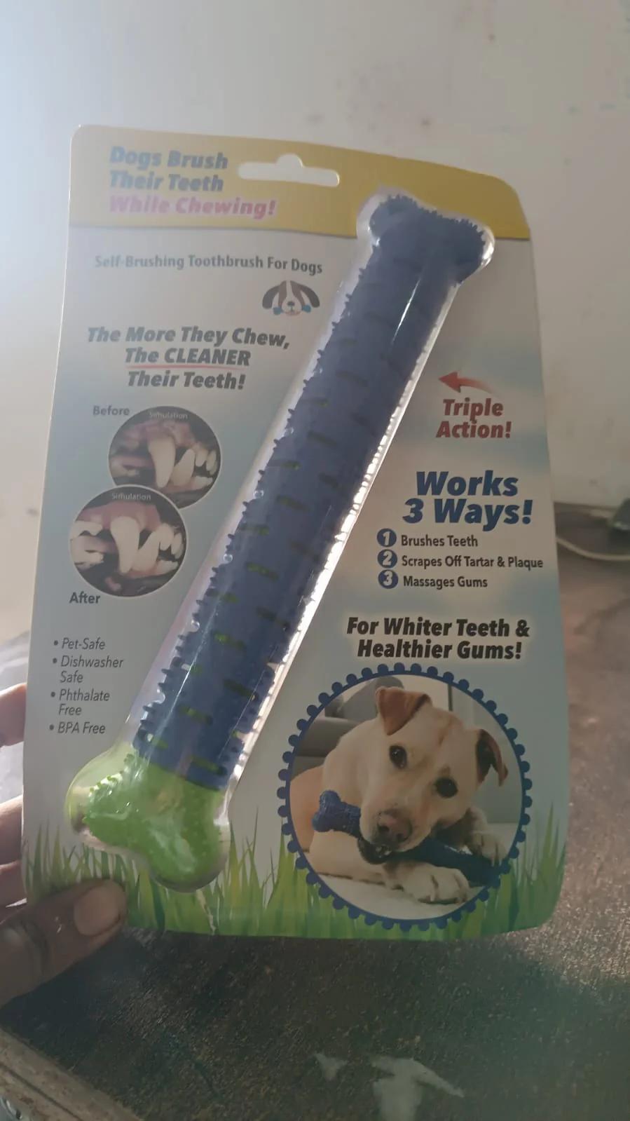 Dog Tooth Brush, Puppy Chew Toothbrush Stick Teeth Cleaning Dental Toys thumbnail 8