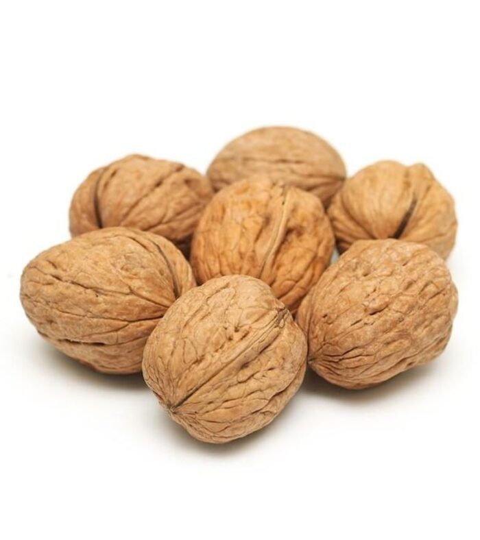 Paper Walnuts With Shells thumbnail 2