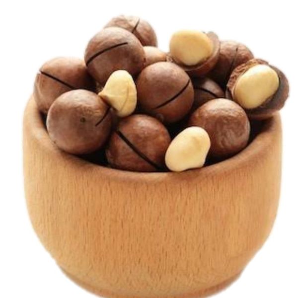 Macadamia Nuts (With Shell) thumbnail 3