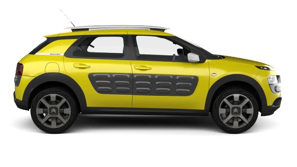 C4 Cactus