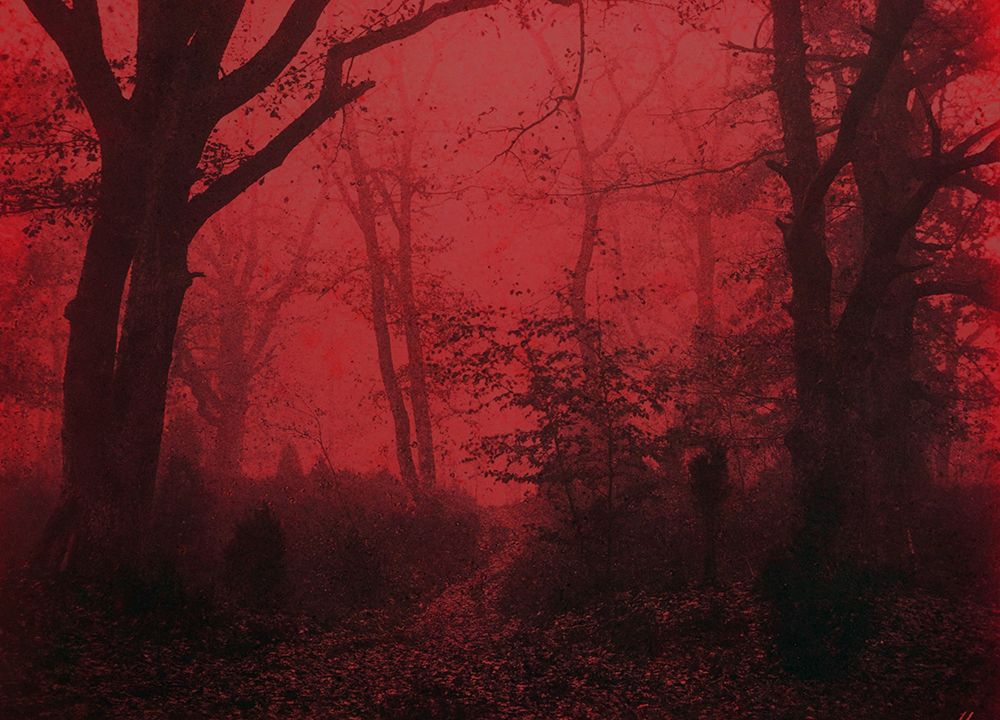 Red Forest