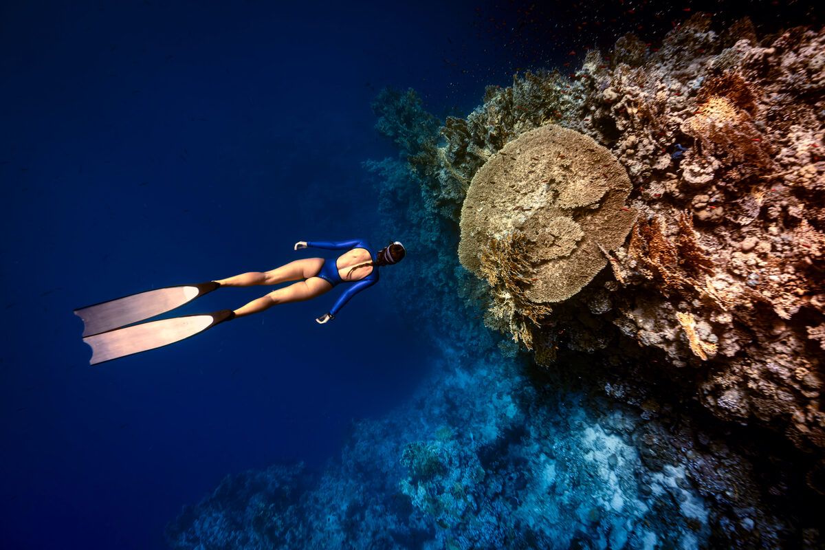 Freediving with Touchdown Freediving, photo 2 of 8