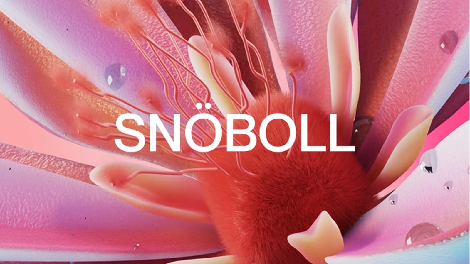 Snöboll - Freelance Designer