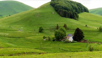 Greenery. The Cézallier massif in Auvergne, France