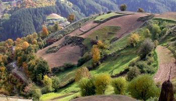 The heights of the Rhodope Mountains, Bulgaria