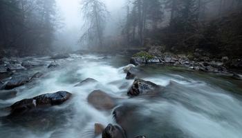 The misty river