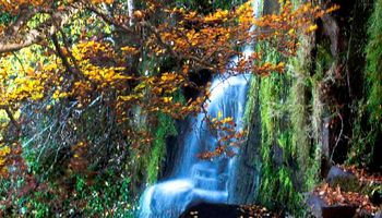 Водопадът Шекс, регион Оверн, Франция