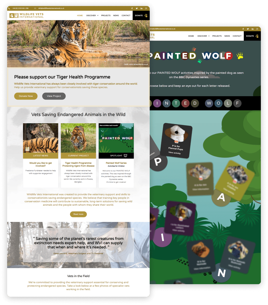 Veterinary charity with Wildlife Vets International — website preview