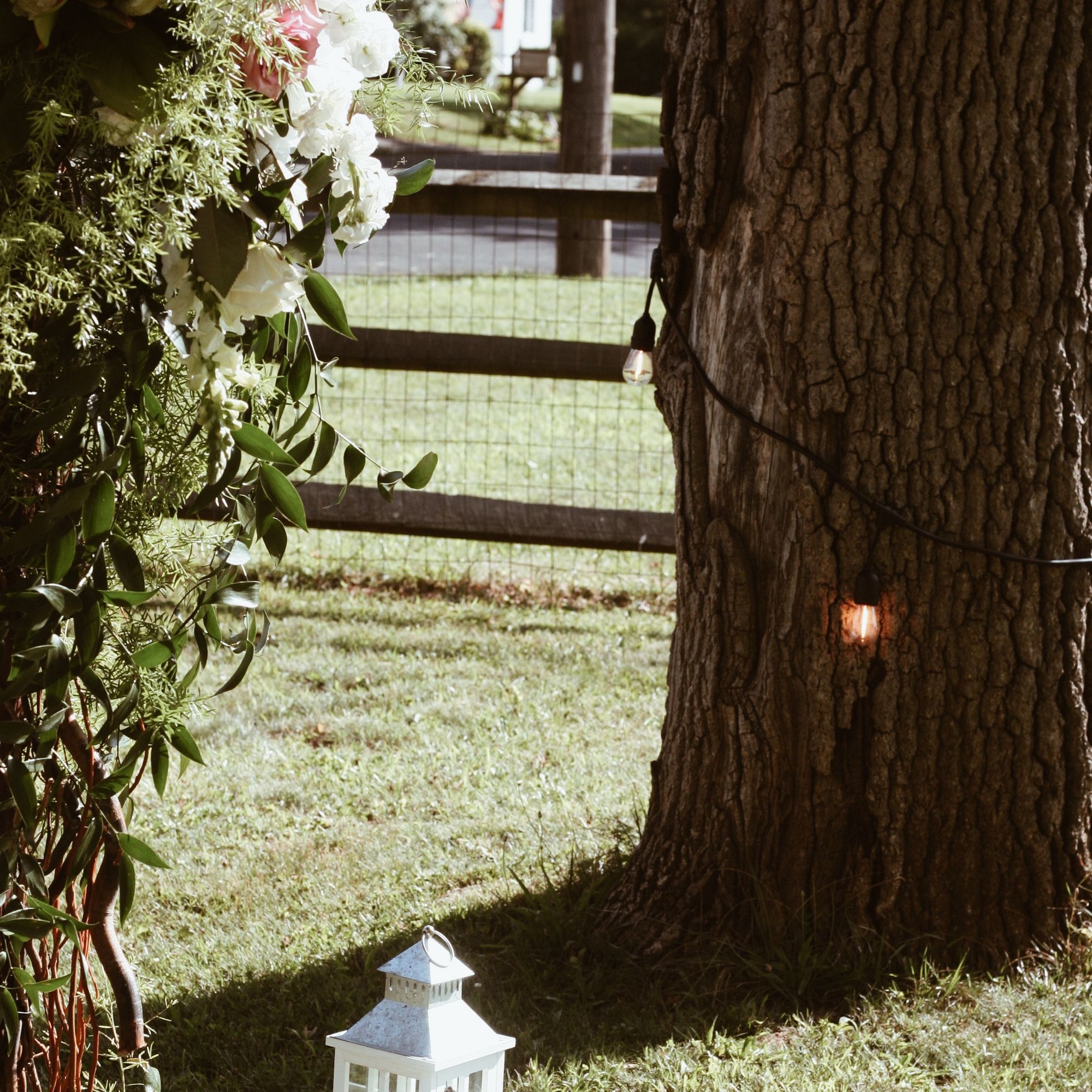 Amanda & Matt - Photo 6