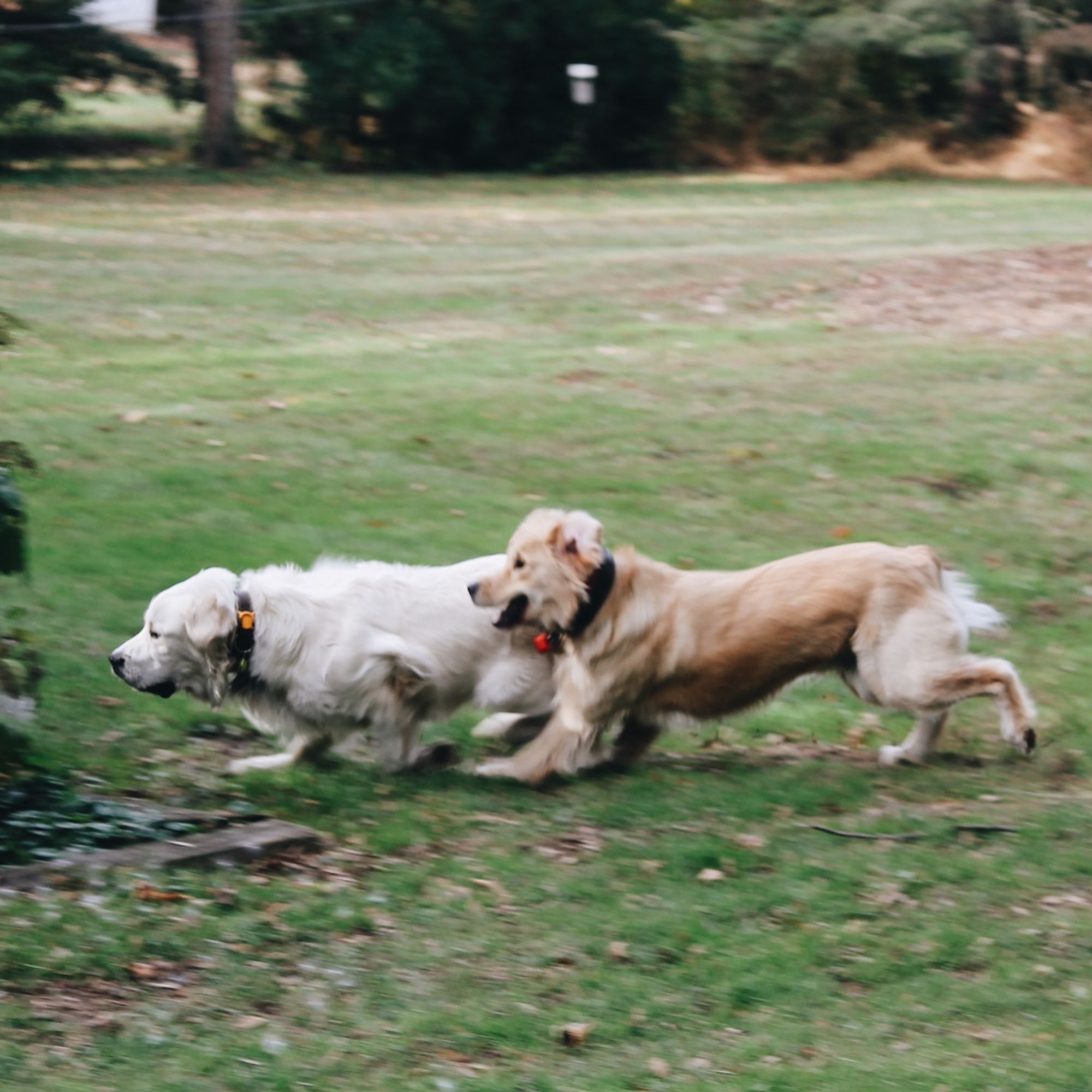 The Seider Family - Photo 7