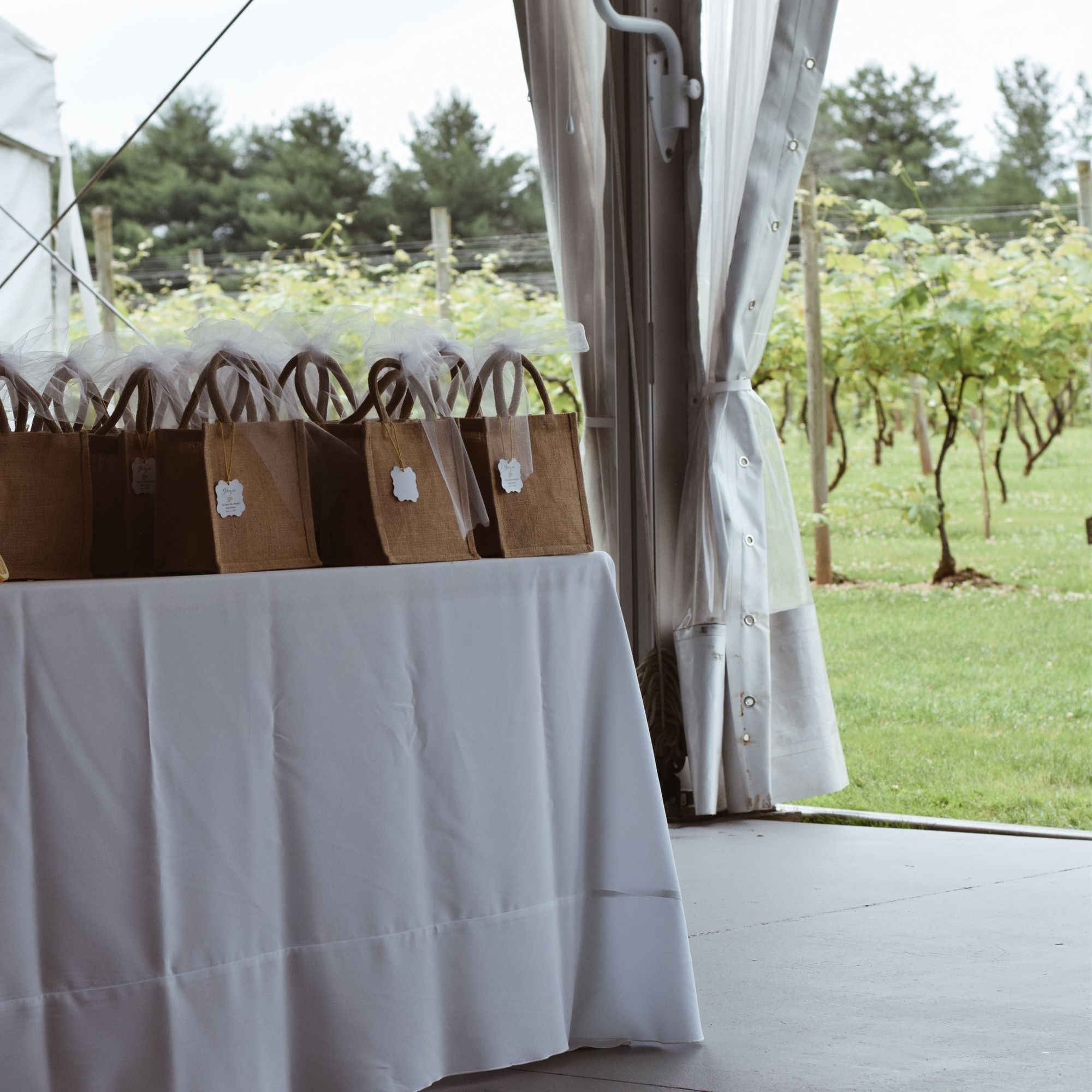 Maria's Bridal Shower - Photo 29