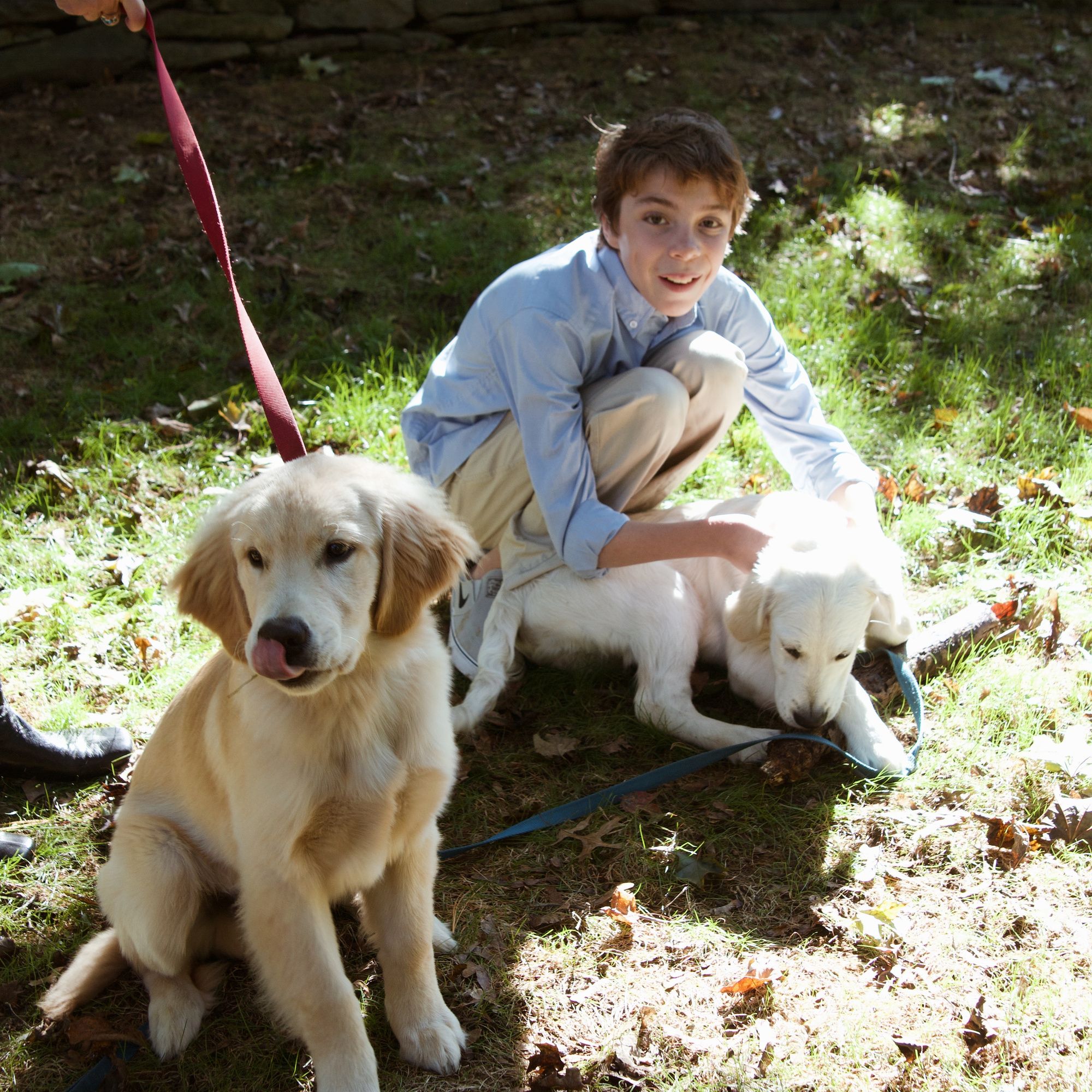 Seiders' Family - Photo 34