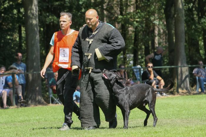 Opzegging lidmaatschap Pascal Dijks