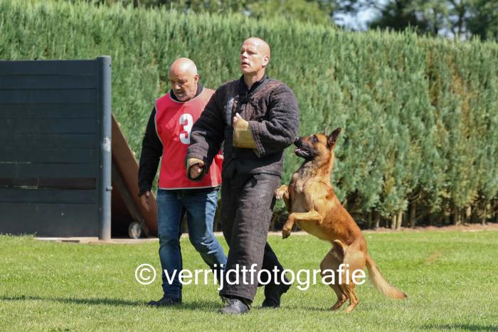 Jos met Mick behalen Certificaat met lof Politiehond 1