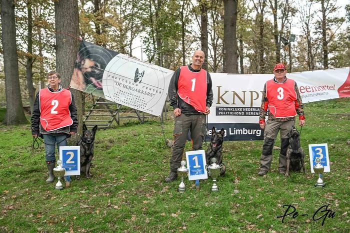 Limburgse kampioenschappen KNPV-speurhonden.