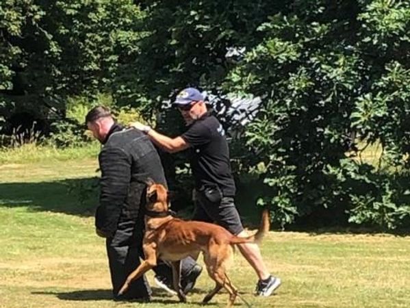 Demo limburgse veteranendag 2023