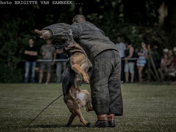 Oefenwedstrijd ph1 czl fotos middagprogramma