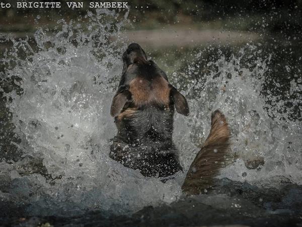 Oefenwedstrijd ph1 czl fotos ochtendprogramma