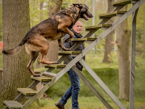 Oefendag 30 maart 2024