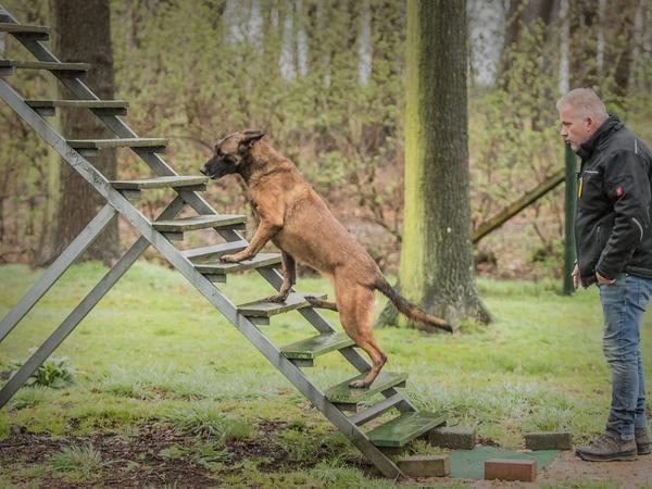 Oefendag ph 2 objectbewaking 1 4 2023