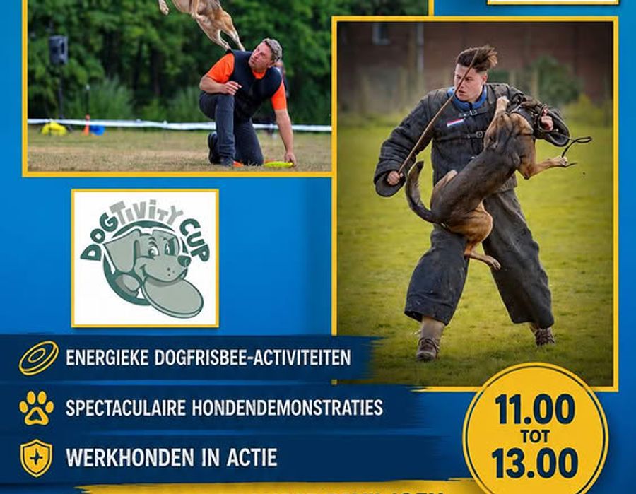 Demo tijdens Augst Cultuurfestival
