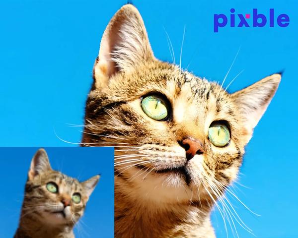 How to Depixelate Images Online Pixble AI Image Enhancer Online