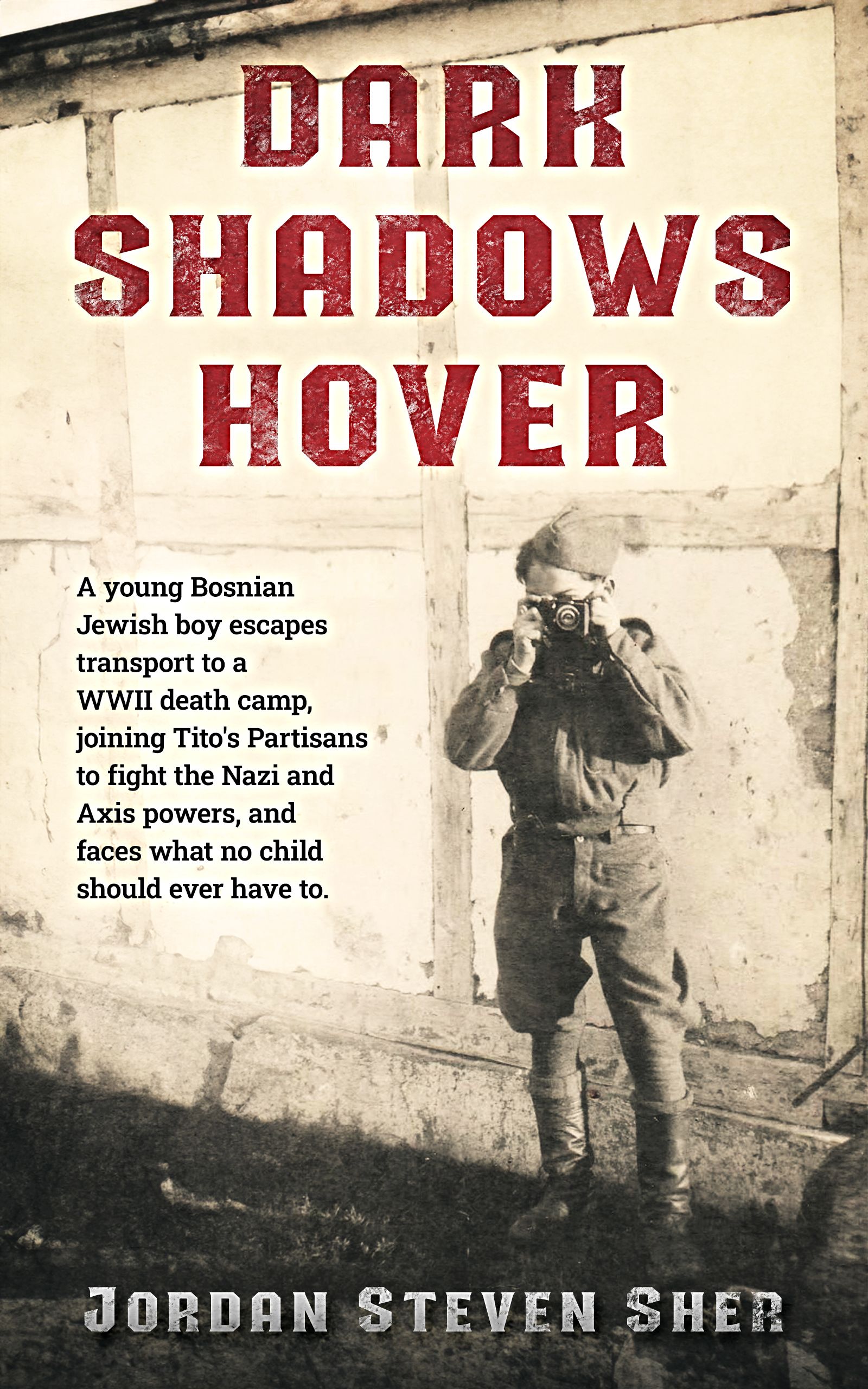 Dark Shadows Hover cover