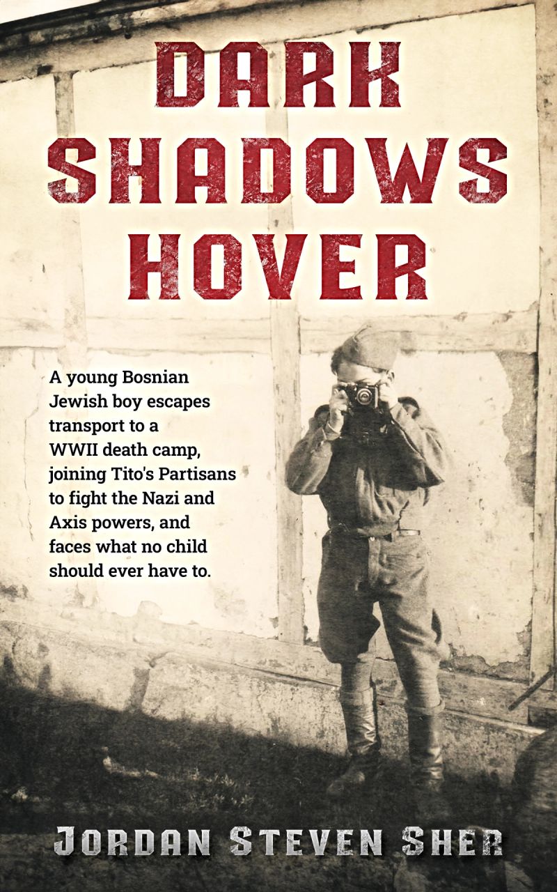 Dark Shadows Hover cover
