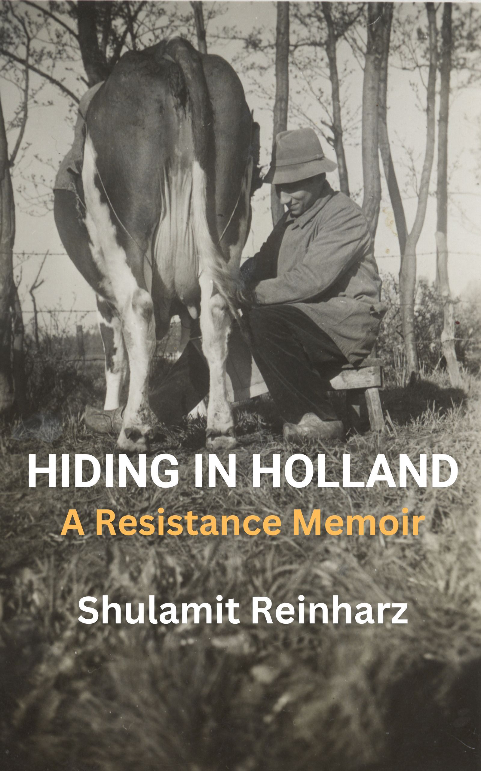 Hiding in Holland cover