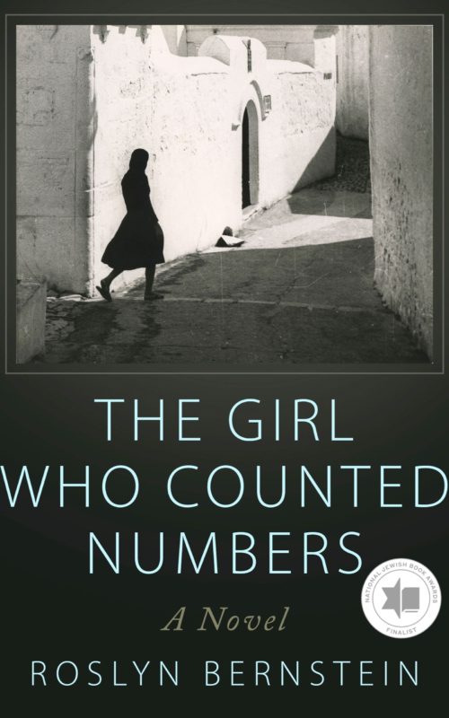 The Girl Who Counted Numbers cover