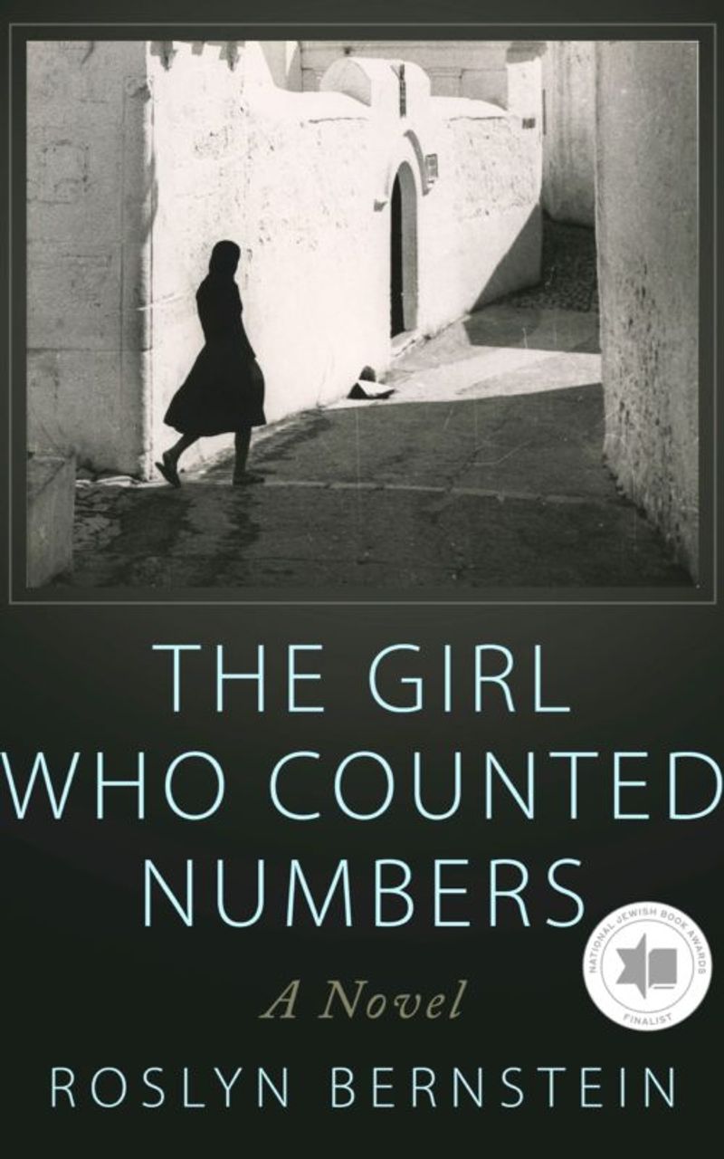 The Girl Who Counted Numbers cover