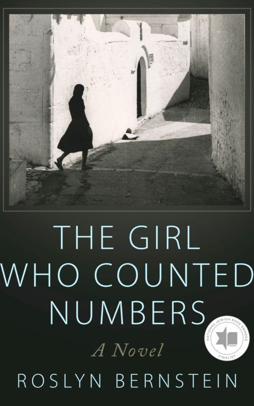 The Girl Who Counted Numbers cover