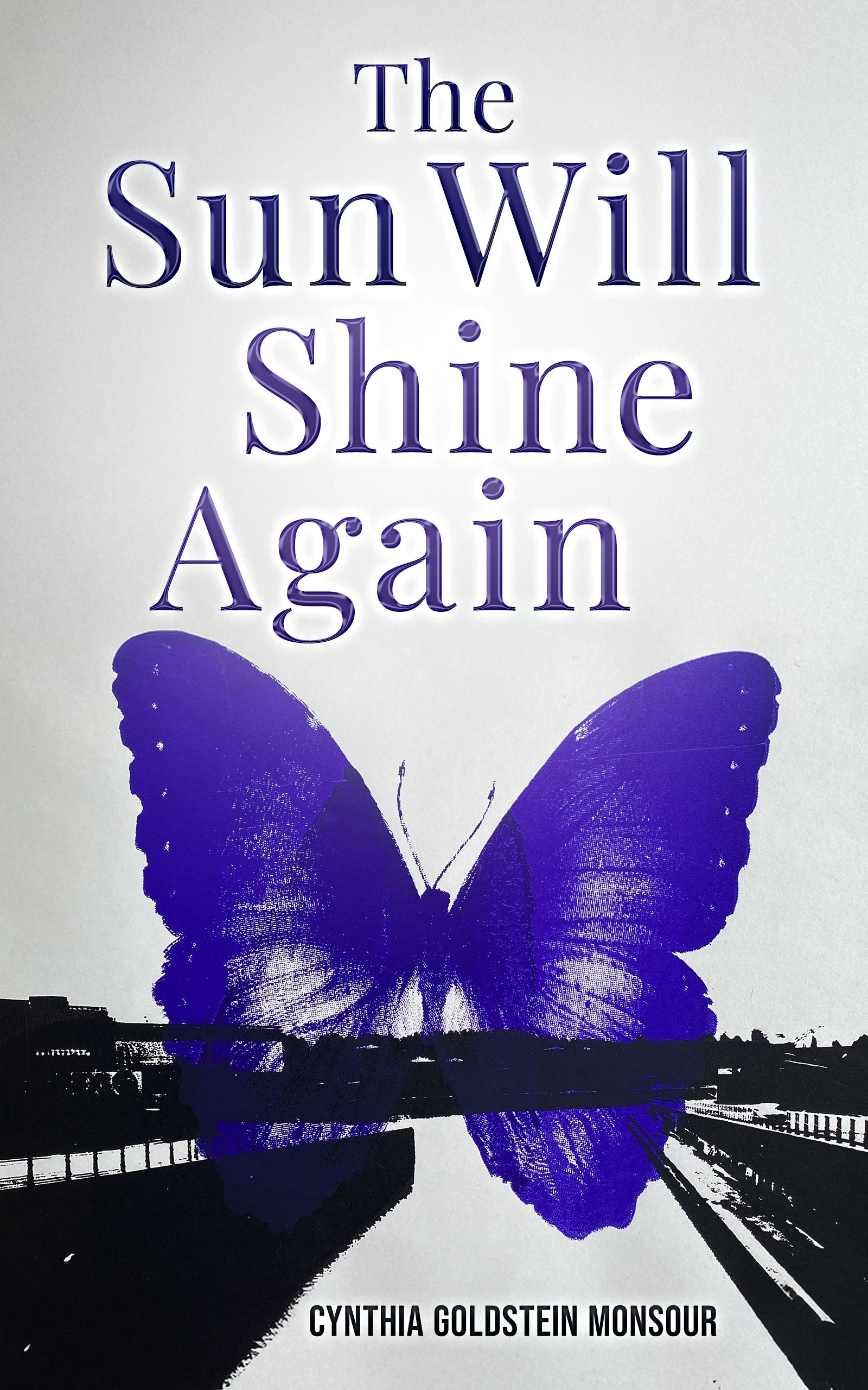 The Sun Will Shine Again cover