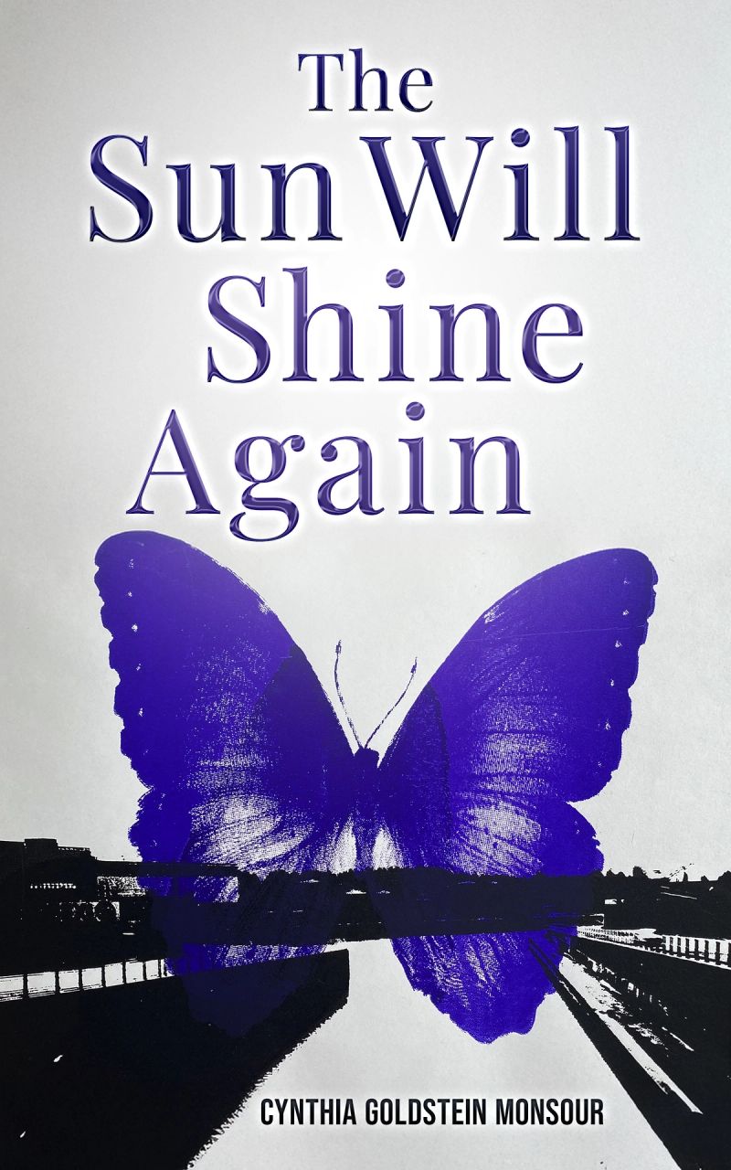 The Sun Will Shine Again cover