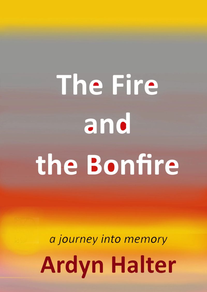 The Fire and the Bonfire cover
