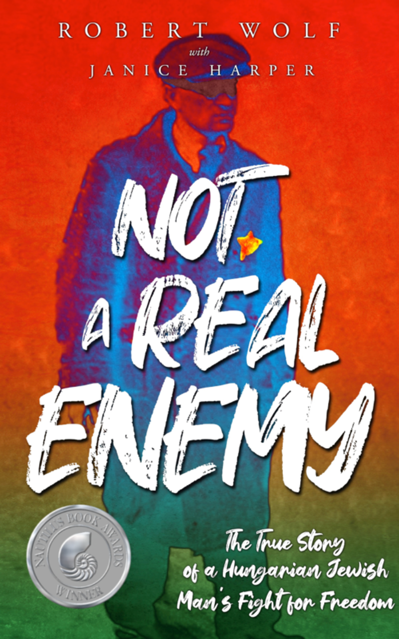 Not a Real Enemy cover