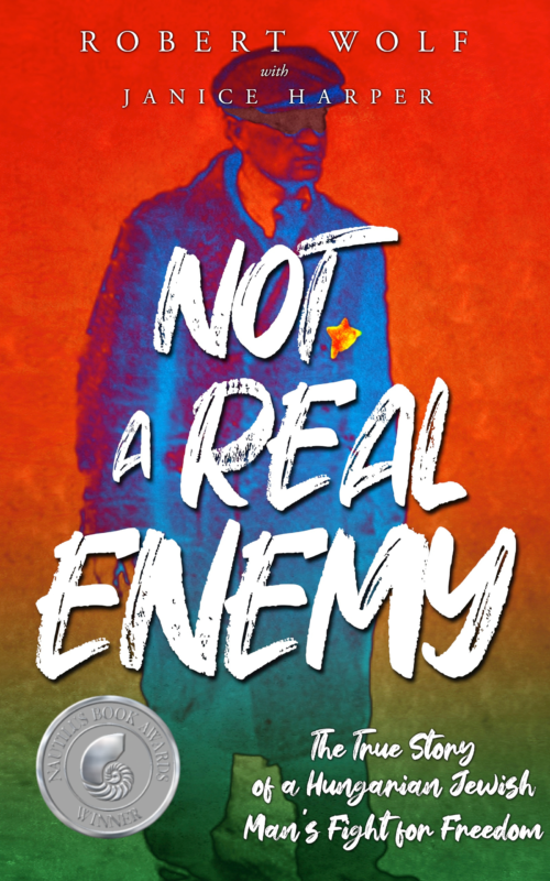 Not a Real Enemy cover