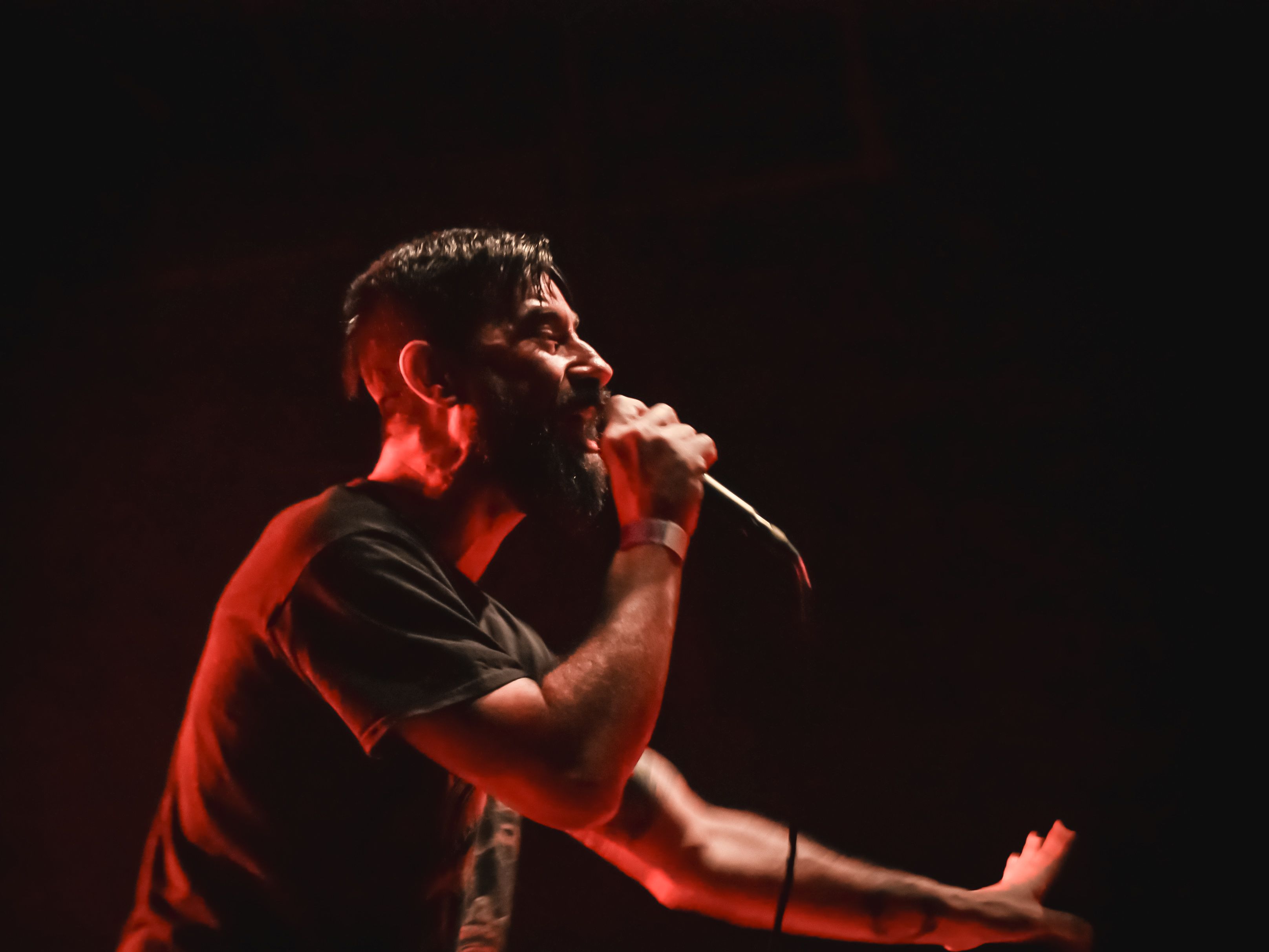 a thorn for every heart